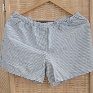 Brandy Melville Light Blue Striped Shorts